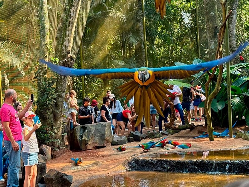 Hospedagem no centro de Foz do Iguaçu