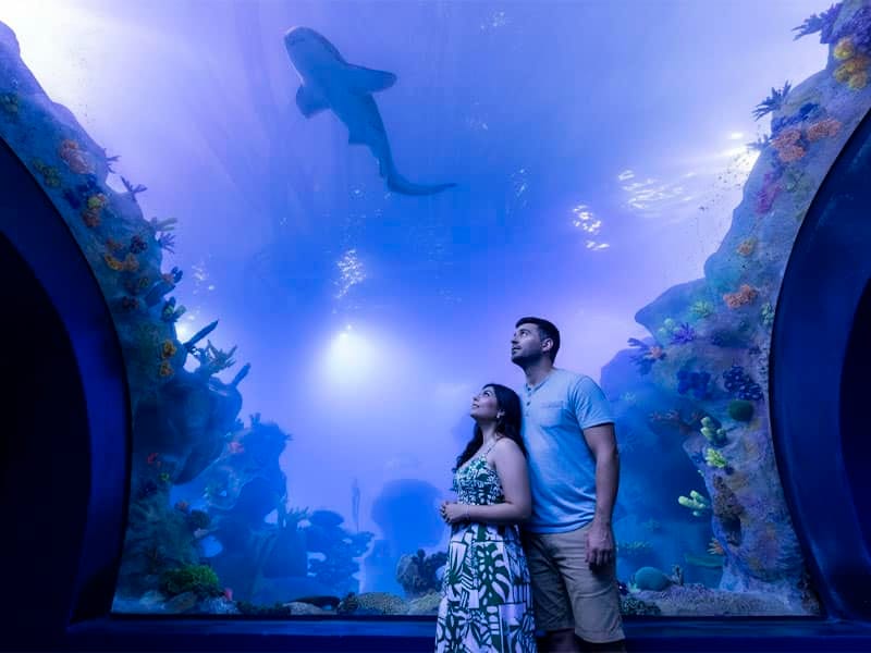 atrativos turísticos em Foz do Iguaçu