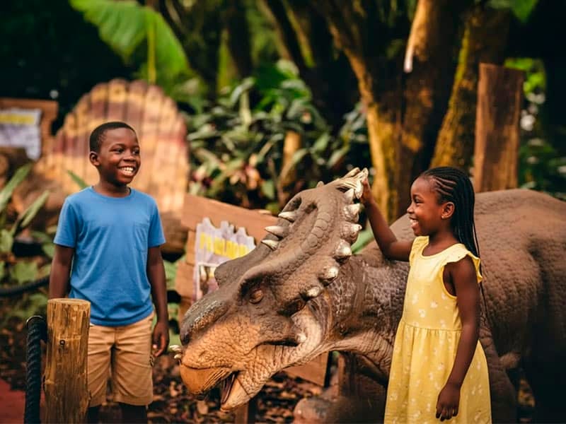 Vale dos Dinossauros Dreams Park Show